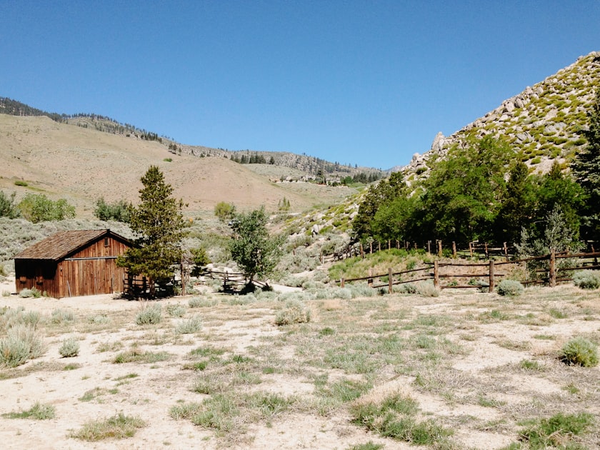 Nevada Rural Community Broadband Access and Digital Inclusion Program