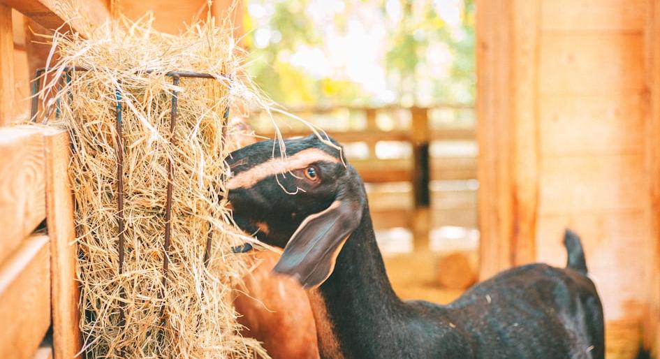 Alabama Rural Business Grant - Federal Funding Opportunity 2026 - USA Grant Finder Alabama Rural Business Grant - Federal Funding Opportunity 2026 - USA Grant Finder