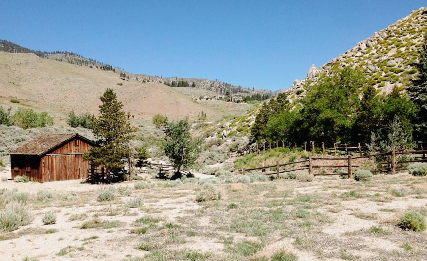 Nevada Rural Community Broadband Access and Digital Inclusion Program - Federal Funding Opportunity 2026 - USA Grant Finder Nevada Rural Community Broadband Access and Digital Inclusion Program - Federal Funding Opportunity 2026 - USA Grant Finder