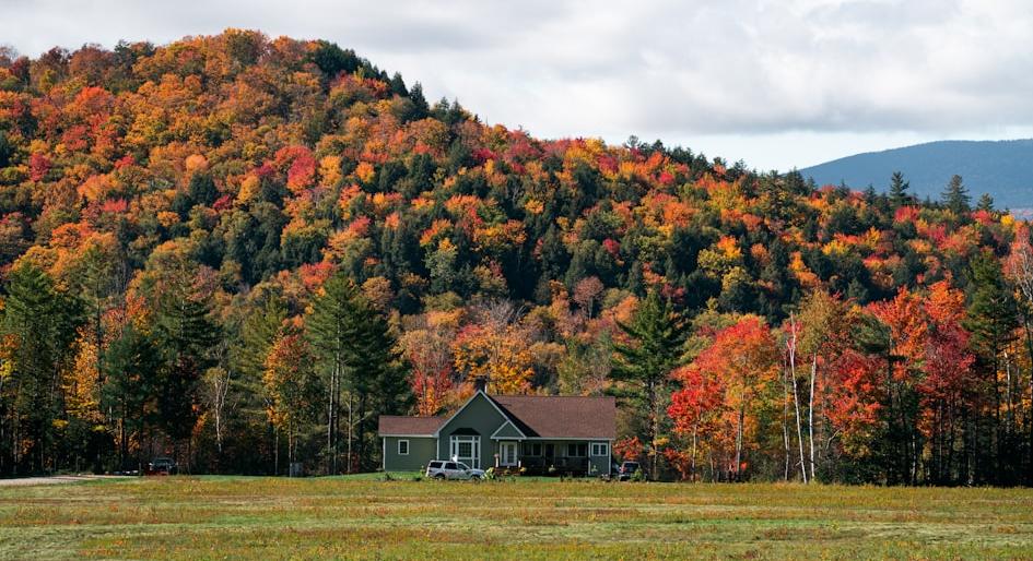 New Hampshire Healthy Waters Initiative: Climate Resilience and Water Quality Restoration - Federal Funding Opportunity 2026 - USA Grant Finder New Hampshire Healthy Waters Initiative: Climate Resilience and Water Quality Restoration - Federal Funding Opportunity 2026 - USA Grant Finder