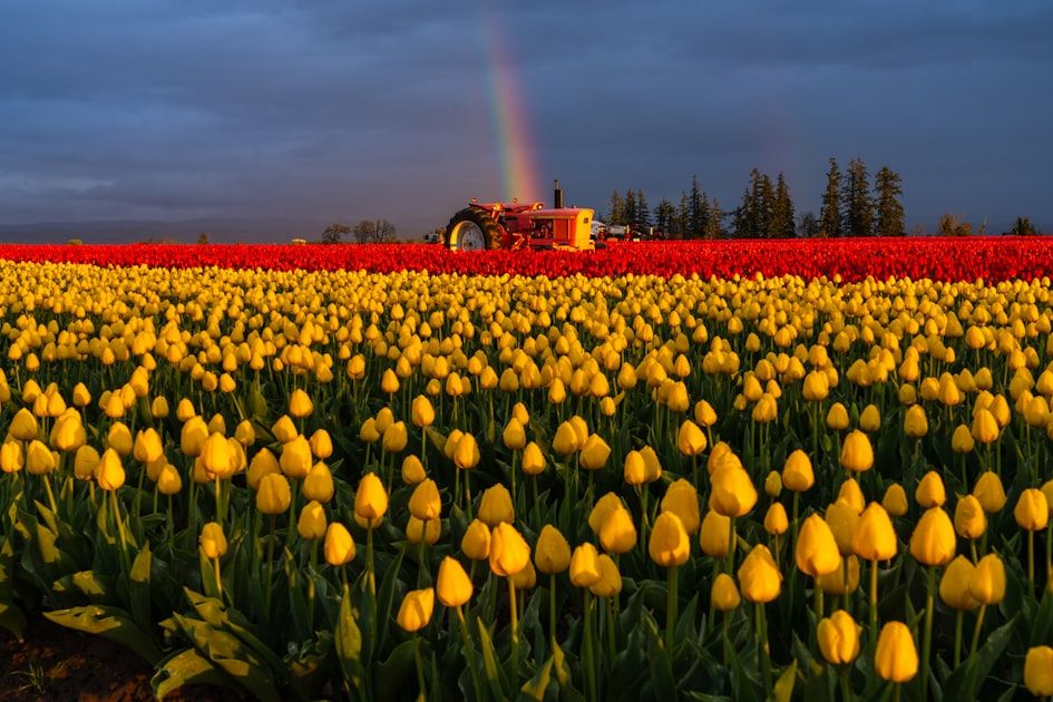 Oregon Rural Development Grant - Federal Funding Opportunity 2026 - USA Grant Finder