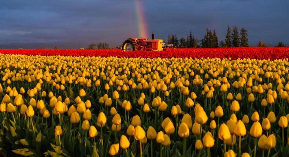 Oregon Rural Development Grant - Federal Funding Opportunity 2026 - USA Grant Finder Oregon Rural Development Grant - Federal Funding Opportunity 2026 - USA Grant Finder