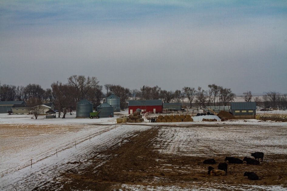 SD Rural Business Grant - Federal Funding Opportunity 2026 - USA Grant Finder