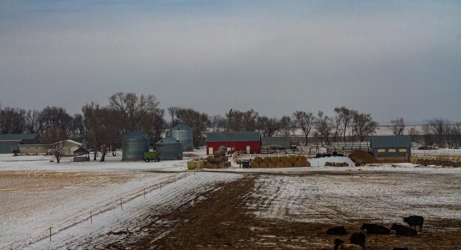 SD Rural Business Grant - Federal Funding Opportunity 2026 - USA Grant Finder SD Rural Business Grant - Federal Funding Opportunity 2026 - USA Grant Finder