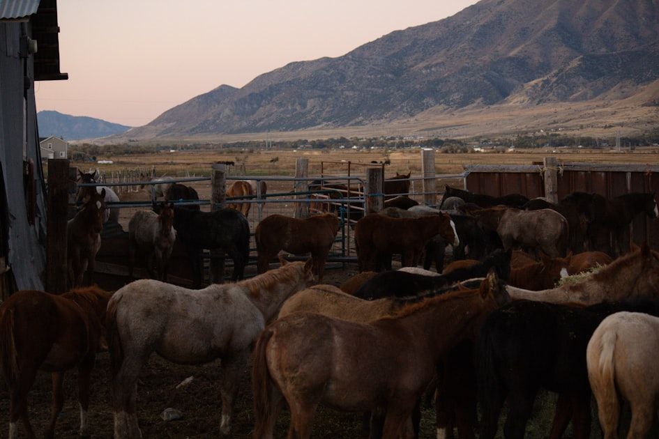 Utah Rural Business Grant - Federal Funding Opportunity 2026 - USA Grant Finder