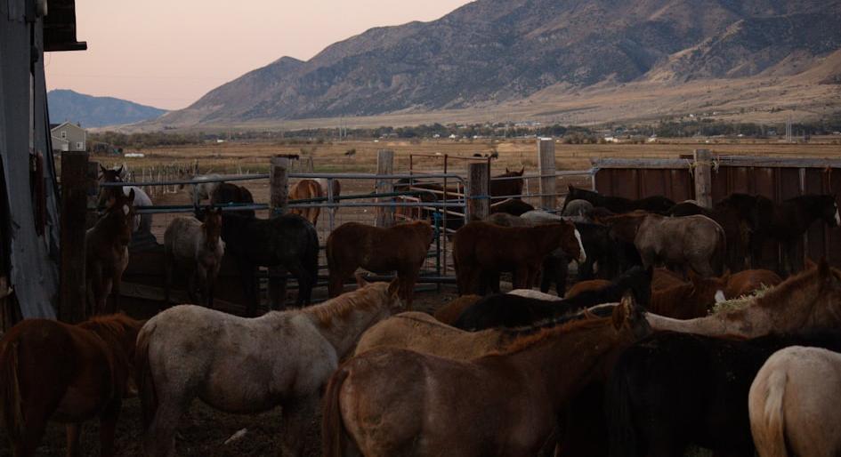 Utah Rural Business Grant - Federal Funding Opportunity 2026 - USA Grant Finder Utah Rural Business Grant - Federal Funding Opportunity 2026 - USA Grant Finder